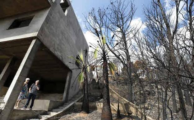 Incendio En Llutxent Y Gandia Tras La Huella Del Fuego Las Provincias